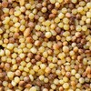Sanniti Toasted Fregola Sarda FIne Semolina Pasta Fregula Tostata Fina,