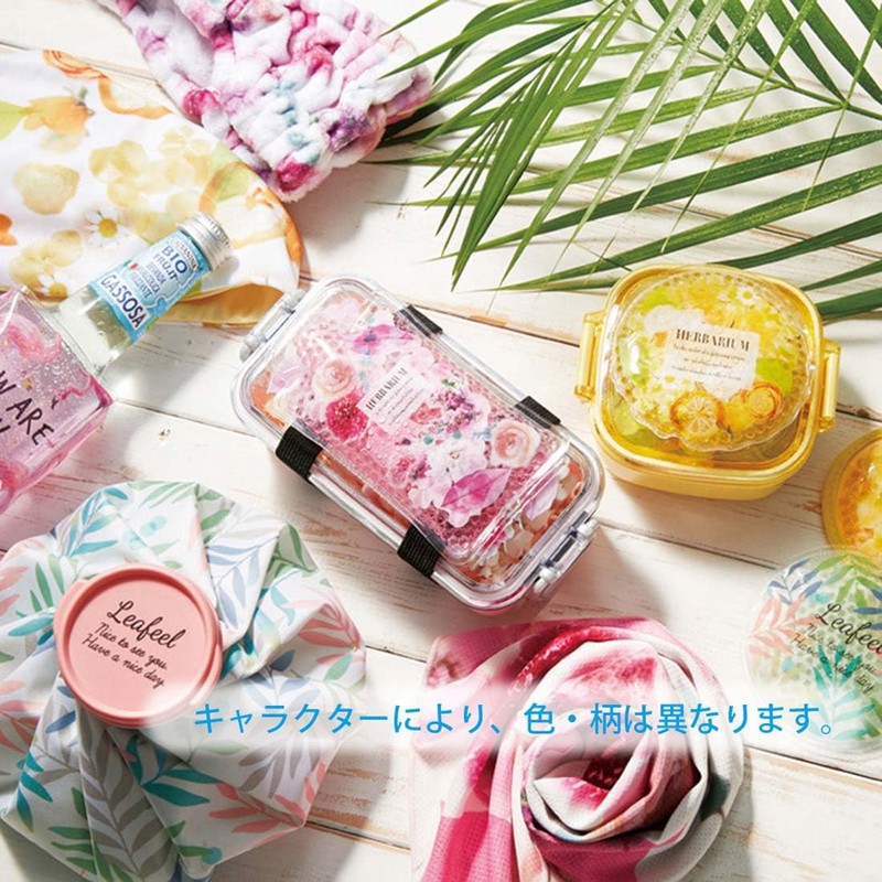 Skater CLBB1-A Moomin Ice Pack with Belt, 5.5 x 3.1