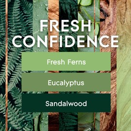 Glade PlugIns Refills Air Freshener, Scented and Essential Oils for Home and Bathroom, Fresh Confidence, 1.34 Fl Oz, 2 Count
