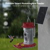 Hummingbird Feeder with Camera Solar Powered, 2K Live Stream Smart