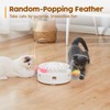 Potaroma Cat Toys 3in1 Automatic Interactive Kitten Toy, Fluttering Butterfly,