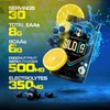 HOSSTILE SILO[9] Essential Amino Acids, EAA & BCAA Powder, Electrolyte
