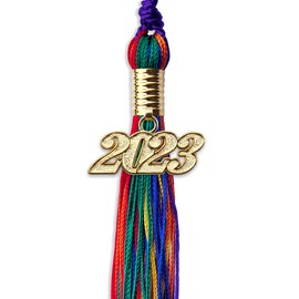 Endea Graduation Double Color Tassel with Gold Date Drop (Rainbow, 2023)