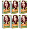 Nisha Creme Permanent Hair Color 100 percent Gray Coverage Hair
