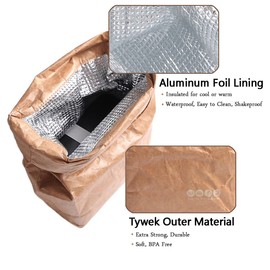 Hangnuo 2 Pack Insulated Brown Paper Lunch Bags Reusable, Retro Lunch Sacks for Adults Work Office, Brown Paper - 10" x 8" x 4.3".