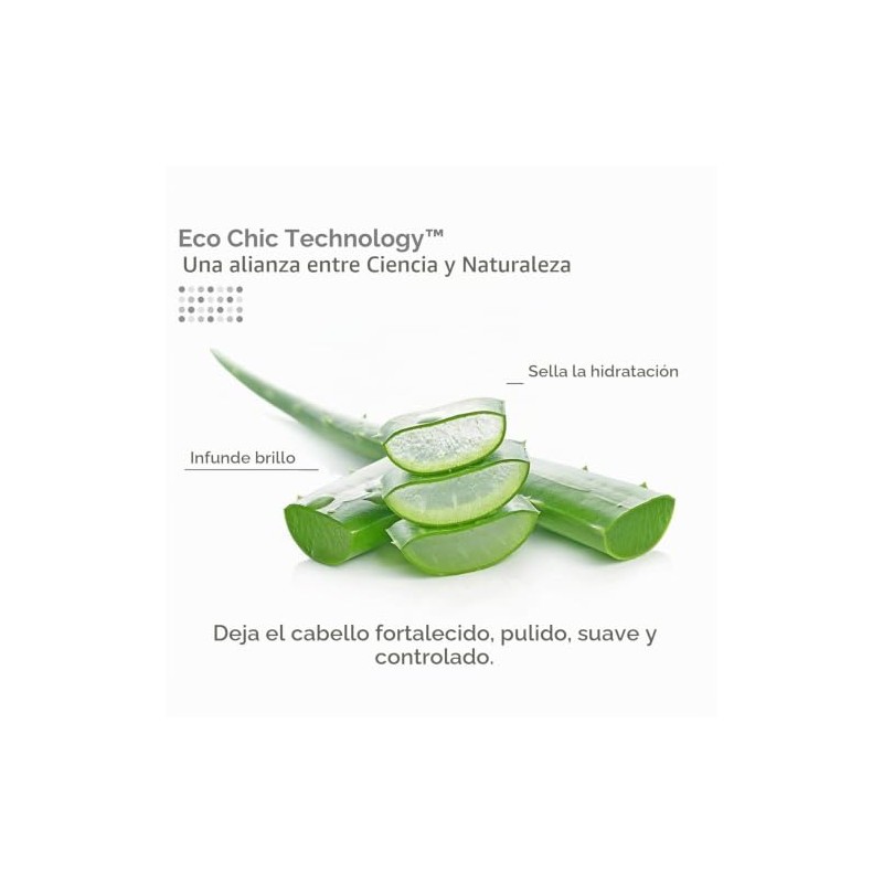 GIOVANNI COSMETICS - Eco Chic Direct Leave-In Conditioner- Weightless Moisture