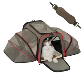 Petsfit Expandable Cat Dog Carrier for 2 Cats, 19" Lx 12" Wx 12" H Soft-Sided Portable Pet Carrier for Travel, Dog Carrier for Small Dog with 2 Side Extensions, Anti-Escape