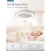 LEDIARY 20 Inch Low Profile Ceiling Fan With Light, Led