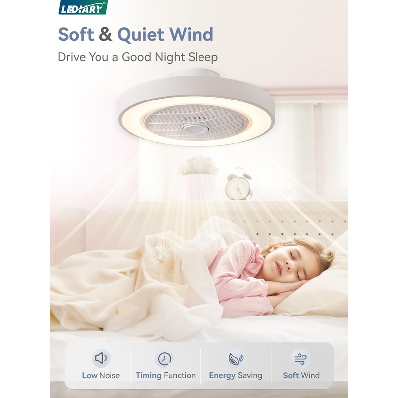LEDIARY 20 Inch Low Profile Ceiling Fan With Light, Led