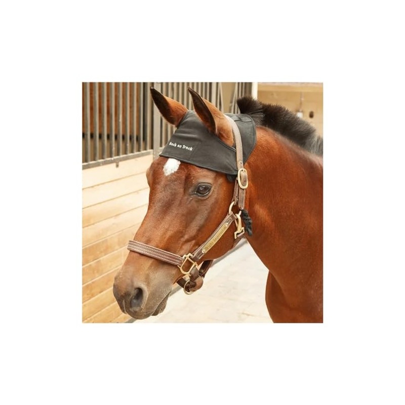 Back on Track Men's Utility, Black, S