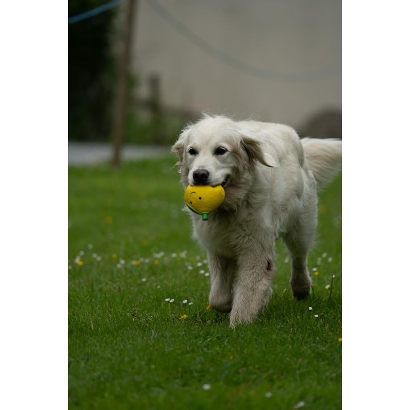 Petface Foodie Faces Latex Lemon Dog Toy with Built-In-Squeaker, Large