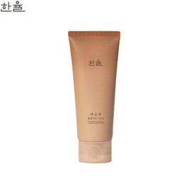 HANYUL Soft Chestnut Flawless Sebum Pore Clay Mask 100ml