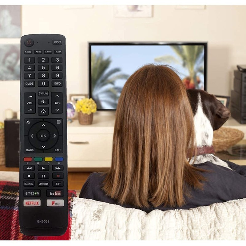 New Replacement EN3G39 Hisense TV Remote for Hisense LED LCD