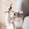 FUKUMARU Cat Toy Replacement Bell and Feather Set