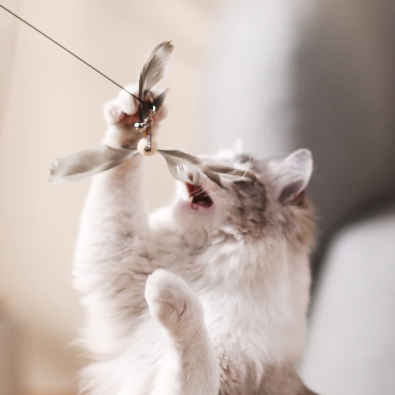 FUKUMARU Cat Toy Replacement Bell and Feather Set