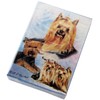 Best Friends Playing Cards, by Ruth Maystead - Yorkshire Terriers