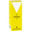 Solidago H 32 Drops 100 ml