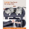 KinoTail 23.6" Cat Tree for Large Cat, 19 * 15.8