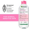 Garnier SkinActive Micellar Agua de arrastre todo en uno 23.7