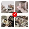 Crab Tools Set of 5, Crab Crab Fork, Crab Spoon,