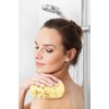 Natural Sea Sponges for Bathing: 5pc Gift in Premium Bag