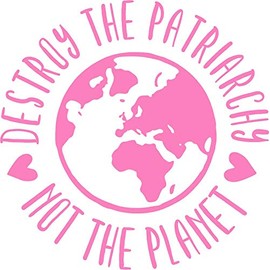 Destroy the Patriarchy Not the Planet Vinyl Decal Wall Laptop Bumper Sticker 5"