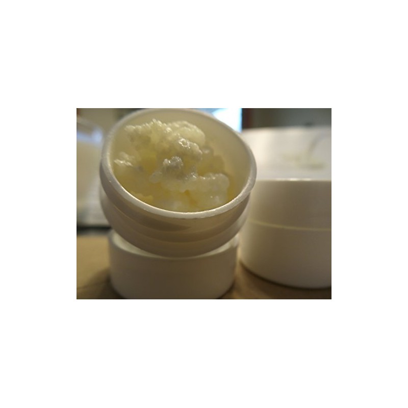 Milk Kefir Grains Mr & Mrs Kefir Active Fresh Genuine