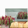 Outsidepride Red Amaranthus Seeds - 10000 Pcs Easy to Grow,