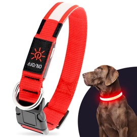 Illumifun Light Up Dog Collar for Small Dog, USB Rechargeable LED Dog Collar Glowing in The Dark, Safety Collar Light for Your Pups(Red, Small)