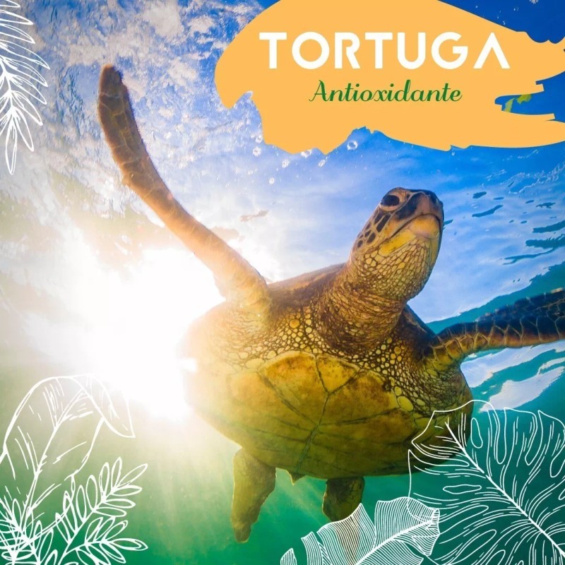 Vidamía Jabón Artesanal Gde Te Blanco Oolong Antioxidante Vegano