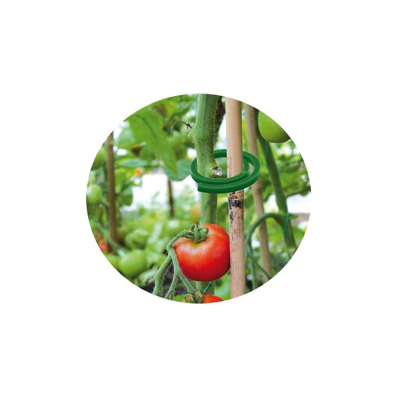 Bradas TYK31 4002 Plant Mounting Clips Diameter 3 cm Pack