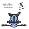 Petmolico No Pull Dog Harness and Leash Set, No Choke