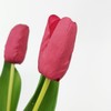 DPI Artificial Tulips Natural Touch in Bunch Height 35 cm