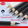 Pepy Professional Soft Charcoal Pencil Set – Set of 6