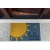 DII DII Natural Coir Doormat, Decorative Hello Mat, 17x29, Hello