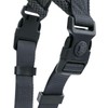 HUNTER LONDON Comfort Harness, Anthracite, M