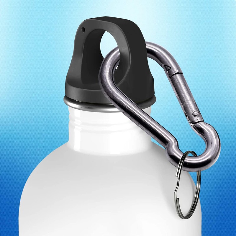 Stainless steel carabiner snap spring hook A4 316 marine grade