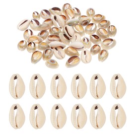 PATIKIL Natural Seashell Charm, 50 Pcs Oval Dyed Shells Craft Pendants Open Back Scallop Shell Beads with Hole for Necklace DIY Ocean Jewelry Making, Gray