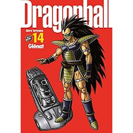DRAGON BALL PERFECT ÉDITION T.14