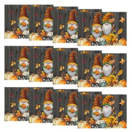 Artoid Mode Gnomes Pumpkins Fall Placemats Set of 12, 12x18 Inch Seasonal Autumn Thanksgiving Table Mats for Party Kitchen Dining Decoration