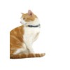 Red Dingo Reflective Safety Cat Collar, One Size fits All