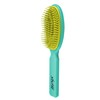 Casalfe 6 Packs of 1 Detangling Brush No Pull