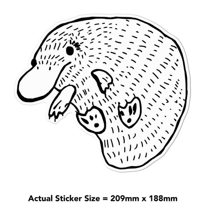 Large 210mm 'Cute Platypus' Permanent Sticker Decal for Cars/Windows/Bins/Walls etc