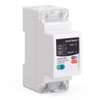Aswalling Tuya Smart Circuit Breaker 2P 63A Remote Control of