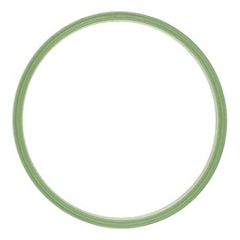 Secondary Seal