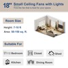 Laliled Ceiling Fan with Light – Socket Fan Light with