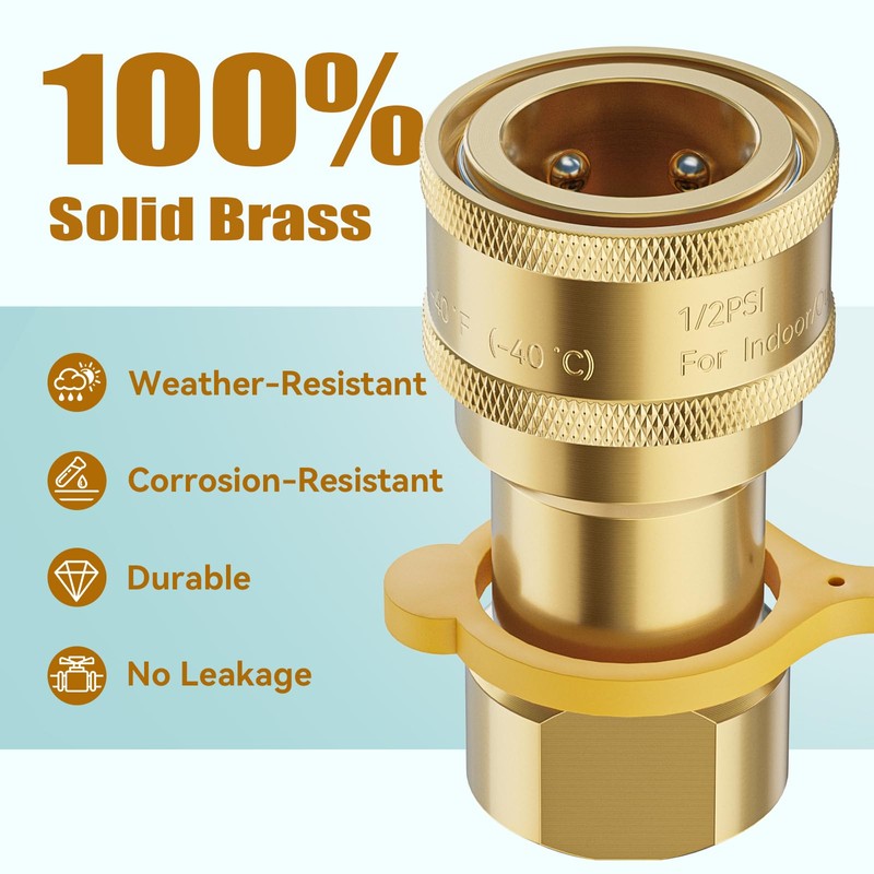 Rushare 1/2 Inch Natural Gas Quick Connect Fitting for Natural