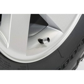 iPick Image for GMC Denali in White on Shining Silver Aluminum Cylinder-Style Tire Valve Stem Caps