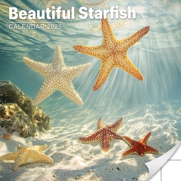 Beautiful Starfish Calendar 2025: A Year Celebrating the Colorful and