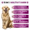 Dog Multivitamin Chewable with Glucosamine - Dog Vitamins and Supplements,